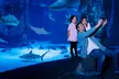 Discover nonstop fun at NJ/Philly’s top spots like Sesame Place, OC Water Park & more with GetOutPass (Save up to 36%) - Second Medium