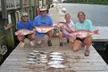 5-Hour Half-Day, Sunset, or Night Shark Fishing with Expert Crew aboard a Modern Gulf Stream Vessel (Up To 20% Off) - Second Medium