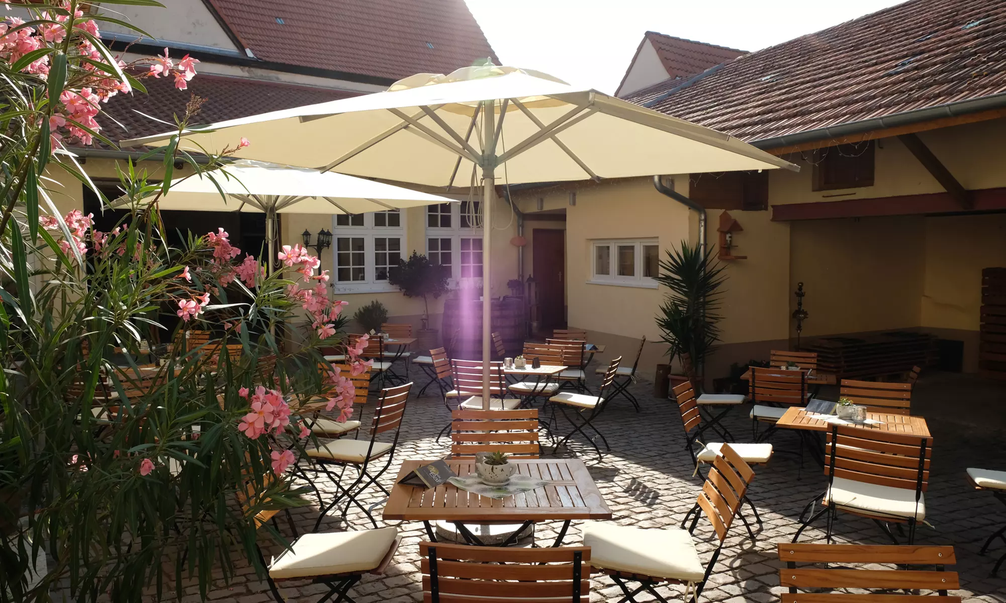 Pfälzer Weinprobe & Flasche Wein