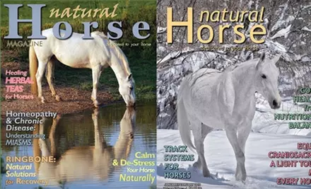 $16 for a One-Year Print and Online Subscription to "Natural Horse Magazine"  - Primary Image
