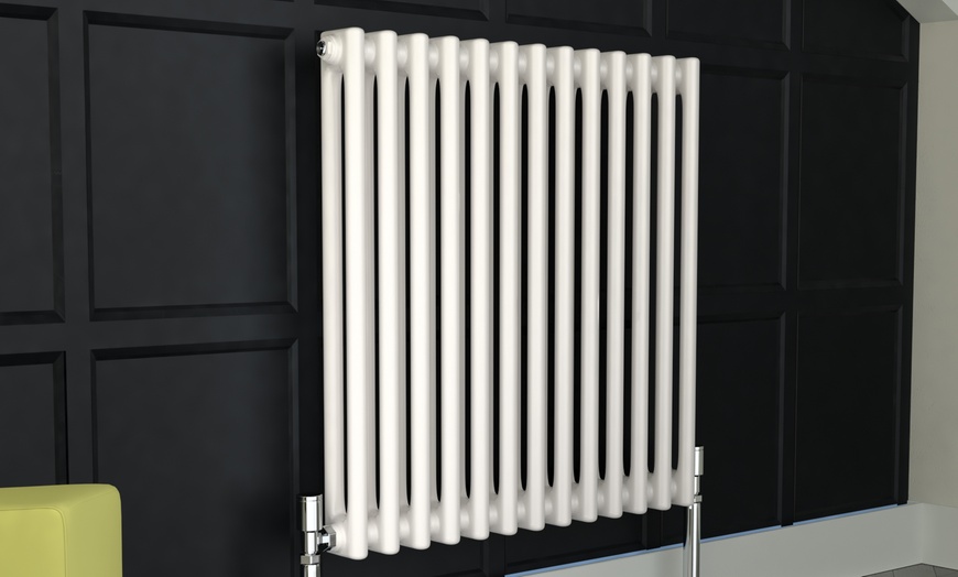 Image 5: Verona Two-Column Radiator