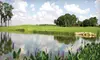 One-Day Unlimited Golf Package for One or Two at Crane's Bend at Orange Lake Resort in Kissimmee (Up to 73% Off)