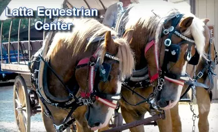 30-Minute Horse-Drawn Covered-Wagon Ride or Carriage Ride at Latta Equestrian Center in Huntersville. Choose from Two Options. - Primary Image