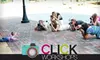 Half Off Hands-On Digital Photography Class from Click Workshops. Choose Between Two Class Options.