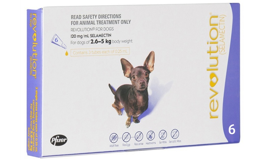 Image 5: Revolution® Flea Treatment 