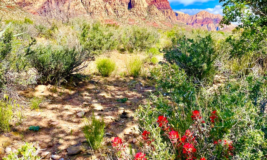 Image 4: Red Rock Canyon Scenic Loop Tour – Panoramic Views