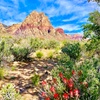 Image 4: Red Rock Canyon Scenic Loop Tour – Panoramic Views