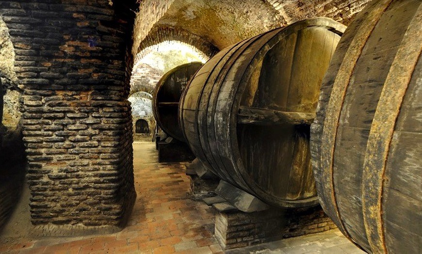 Image 17: Visita guiada a bodega para 2 o 4 con cata de 3 vinos y aperitivo