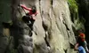 $75 for a Half-Day of Rock-Climbing Instruction from Stone Free Climbing ($150 Value)