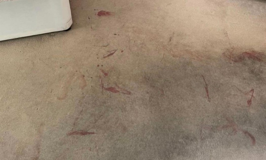 Image 3: Discover Expert Care: Carpet Cleaning for 1, 2 or 3 Rooms and Landing