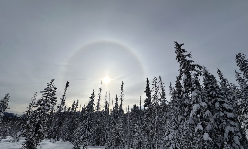 Image 5: Guided Snowshoeing in Mt St Helens or Mt. Hood for 4 Hours