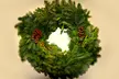 Christmas Tree or Wreath from Vancouver Flower Company &﻿ ﻿Vancouver Christmas Market Admission (Up to 53% Off)  - Second Medium