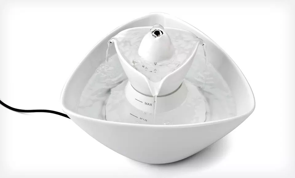 $49 for a Drinkwell Lotus Pet Water Fountain ($79.99 List Price). Free Shipping and Free Returns. - Second Medium