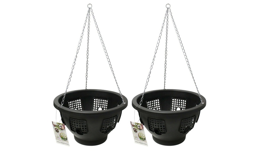 Image 2: Two, Three or Four Flower Bloom Hanging Baskets