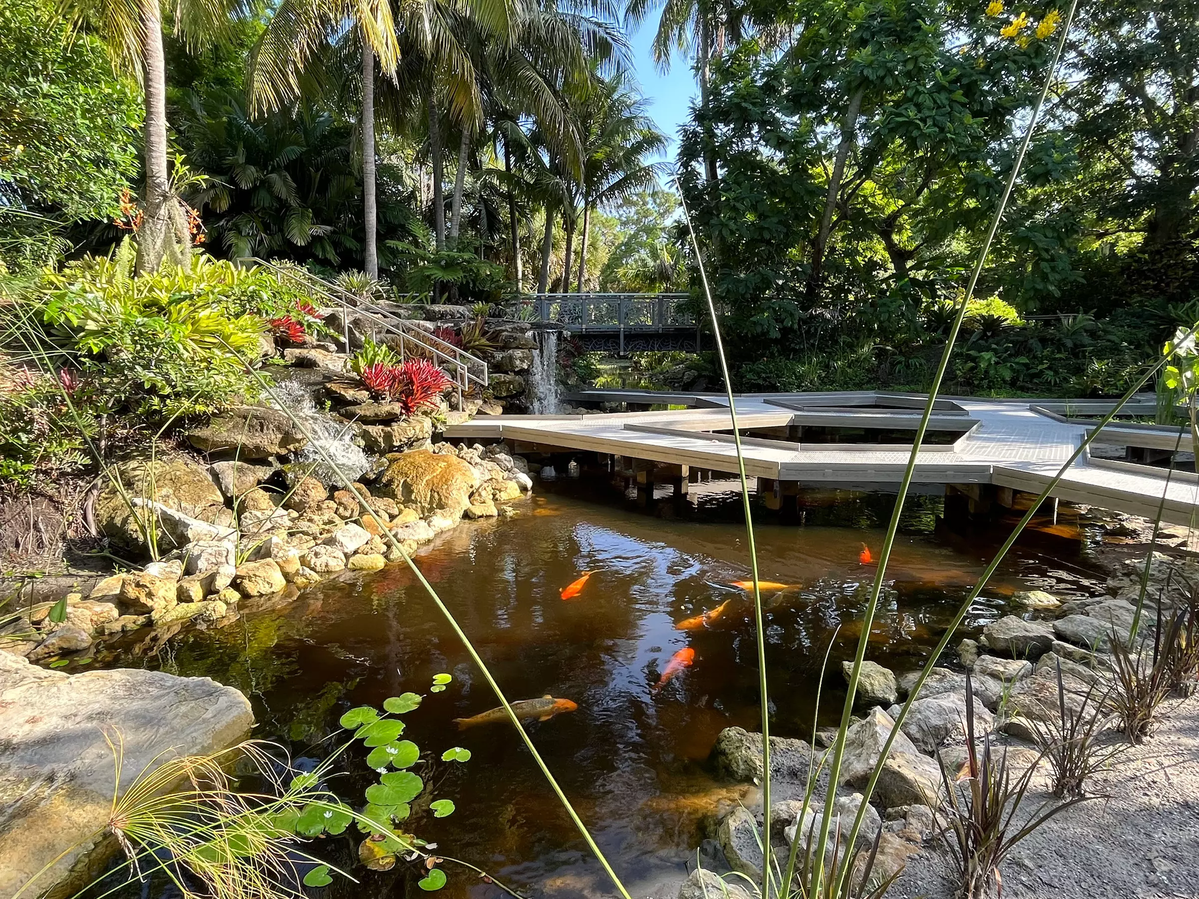 Step Into Nature’s Wonderland at Mounts Garden with GA Tickets
