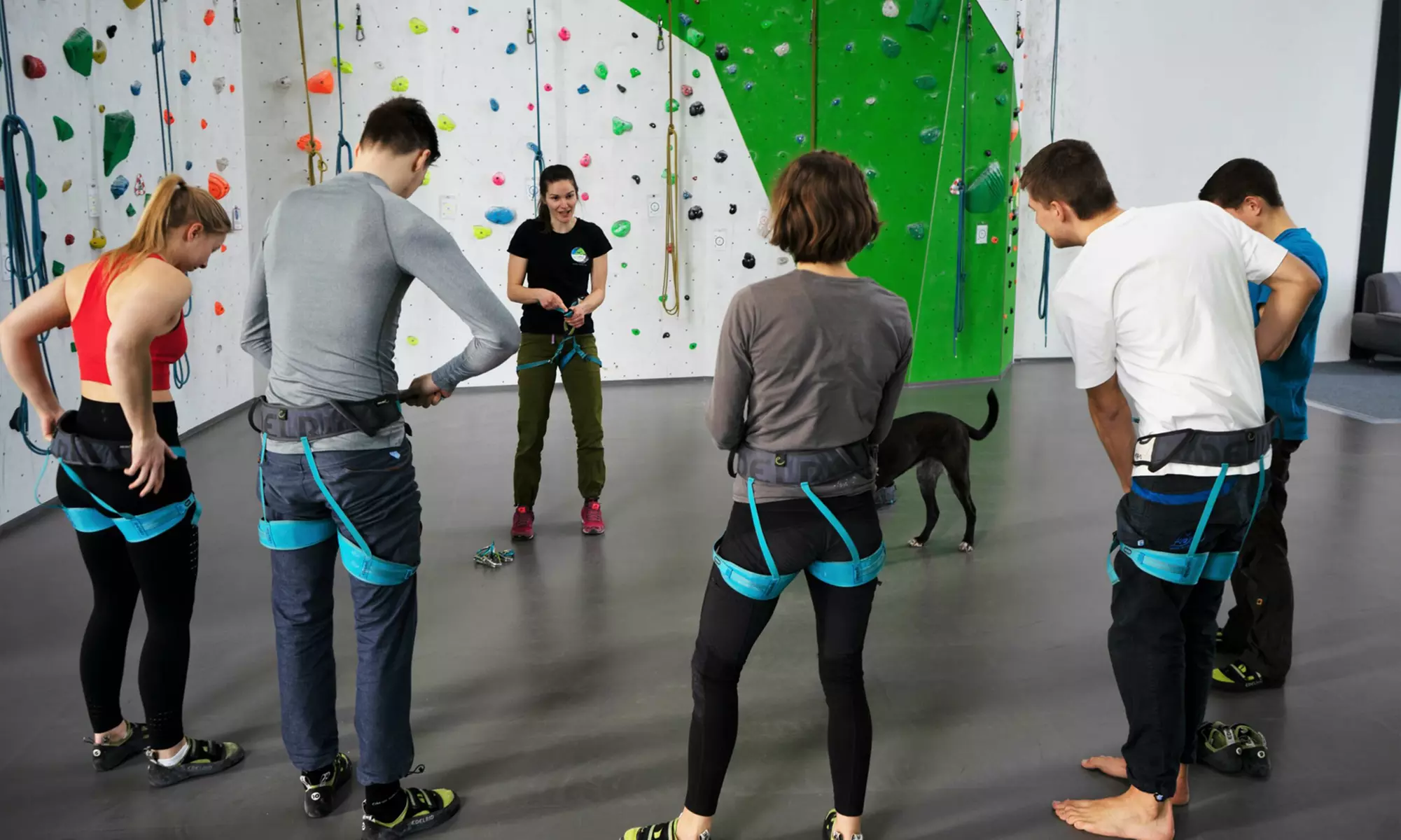 Klettern oder Bouldern ohne Vorkenntnisse und Partner für 1-4 Personen