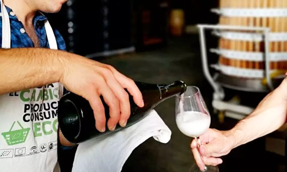 Visita a bodega de 1 hora y media con cata de vino para 2 o 4 personas