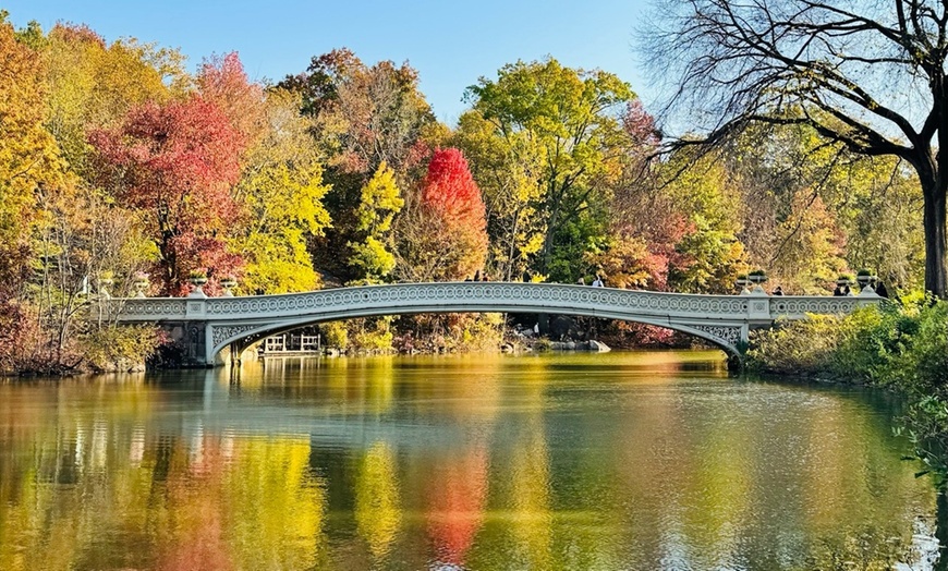 Image 6: Explore Central Park with a 1 or 2 Hour PediCab Guided Tour