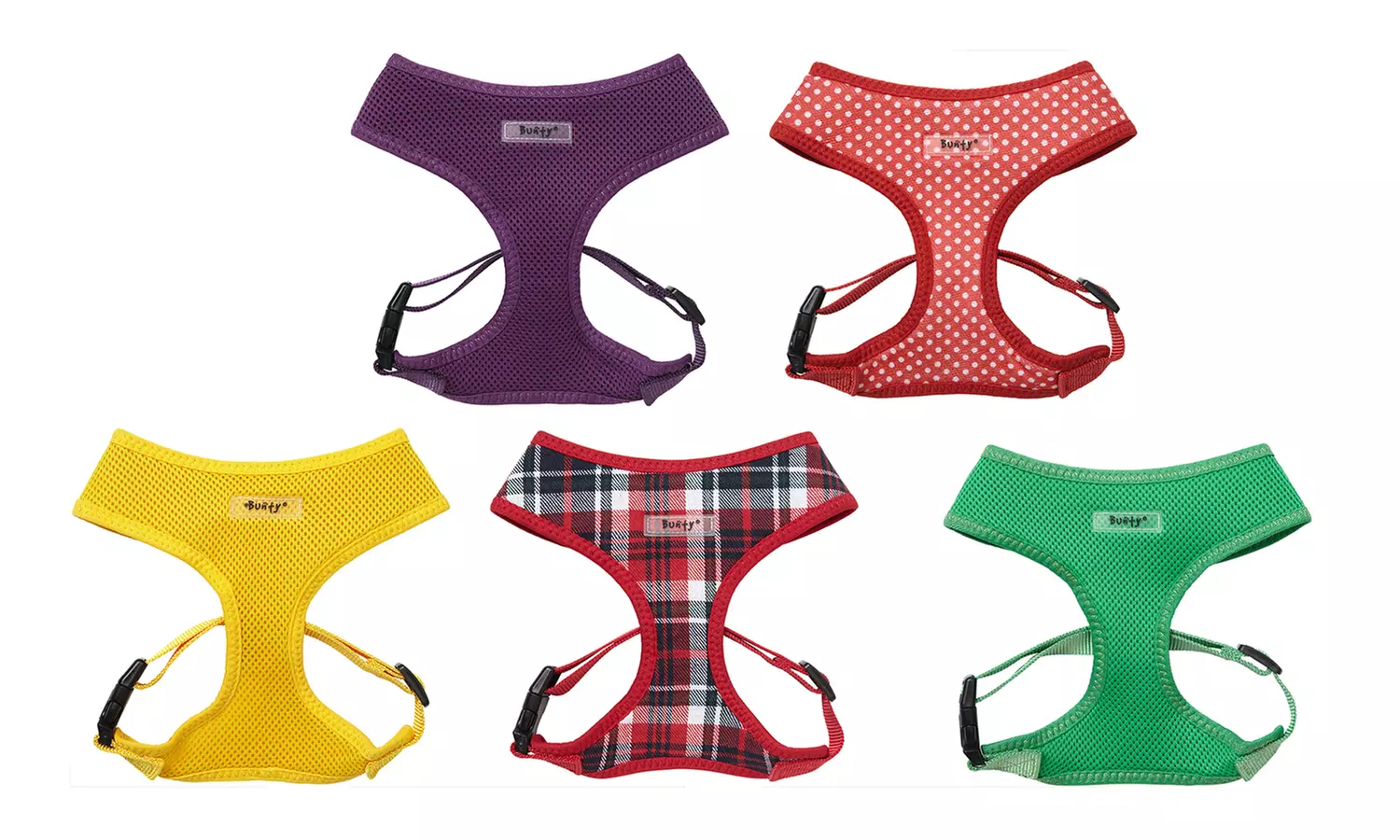 Bunty Buntes Hundegeschirr in der Farbe und Größe nach Wahl - Primary Image