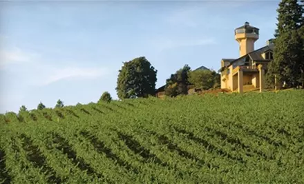 $30 for Two Reserve Tastings, Two T-shirts, and Two Winery Event Passes to Willamette Valley Vineyards in Turner ($60 Value) - Primary Image