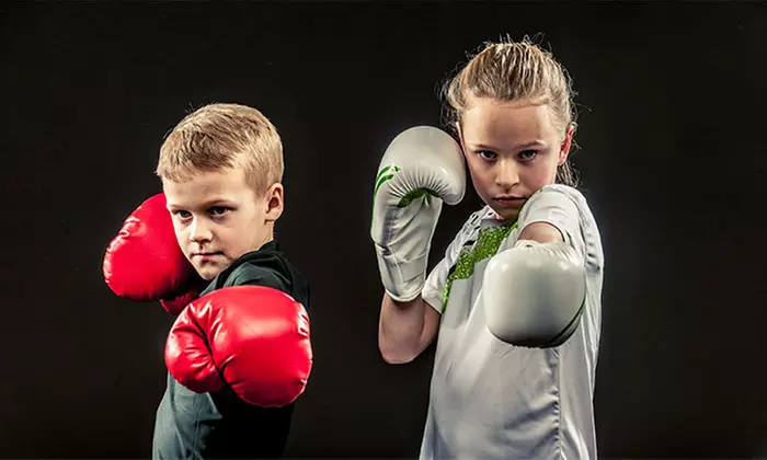 5 or 10 Kids' Martial-Arts Classes at Krav Maga Martial Arts for KIDS (Up to 66% Off) - Primary Image
