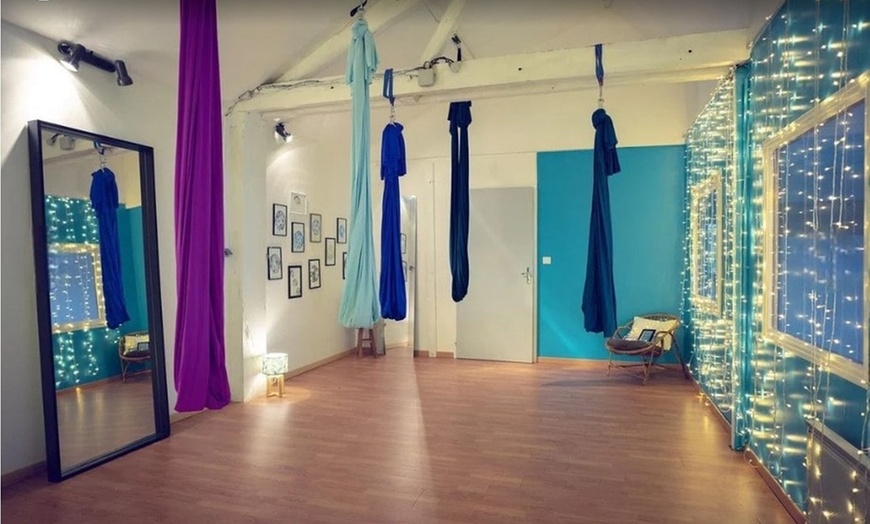Image 3: Cours de pôle dance chez Spin & Fly Pole Dance Nancy