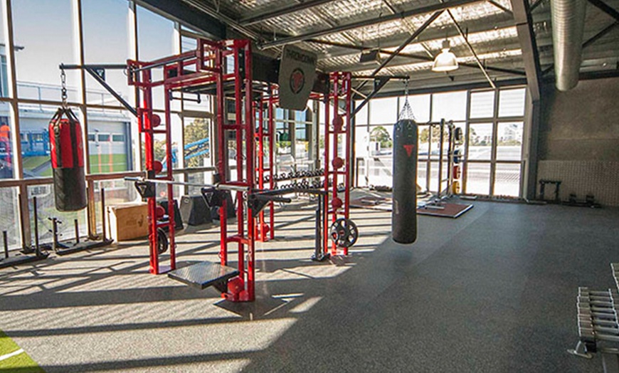 Image 5: One-Month UFC Gym Membership