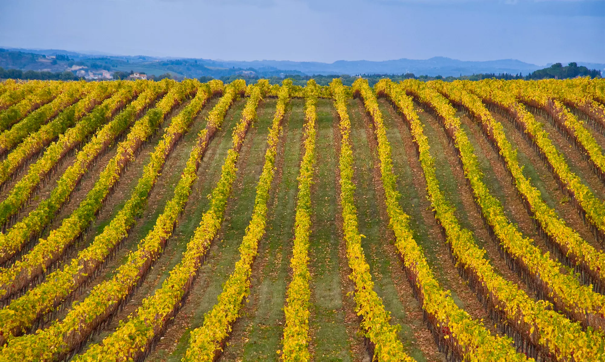 Tuscany Vacation. Price is per Person, Based on Two Guests per Room. Buy One Voucher per Person. - Primary Image