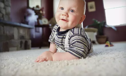 Carpet or Mattress Cleaning from Oxy Green Carpet Cleaning of Chattanooga - Primary Image