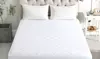 Diamond Quilted Mattress Pad Cover with 16" Deep Pocket