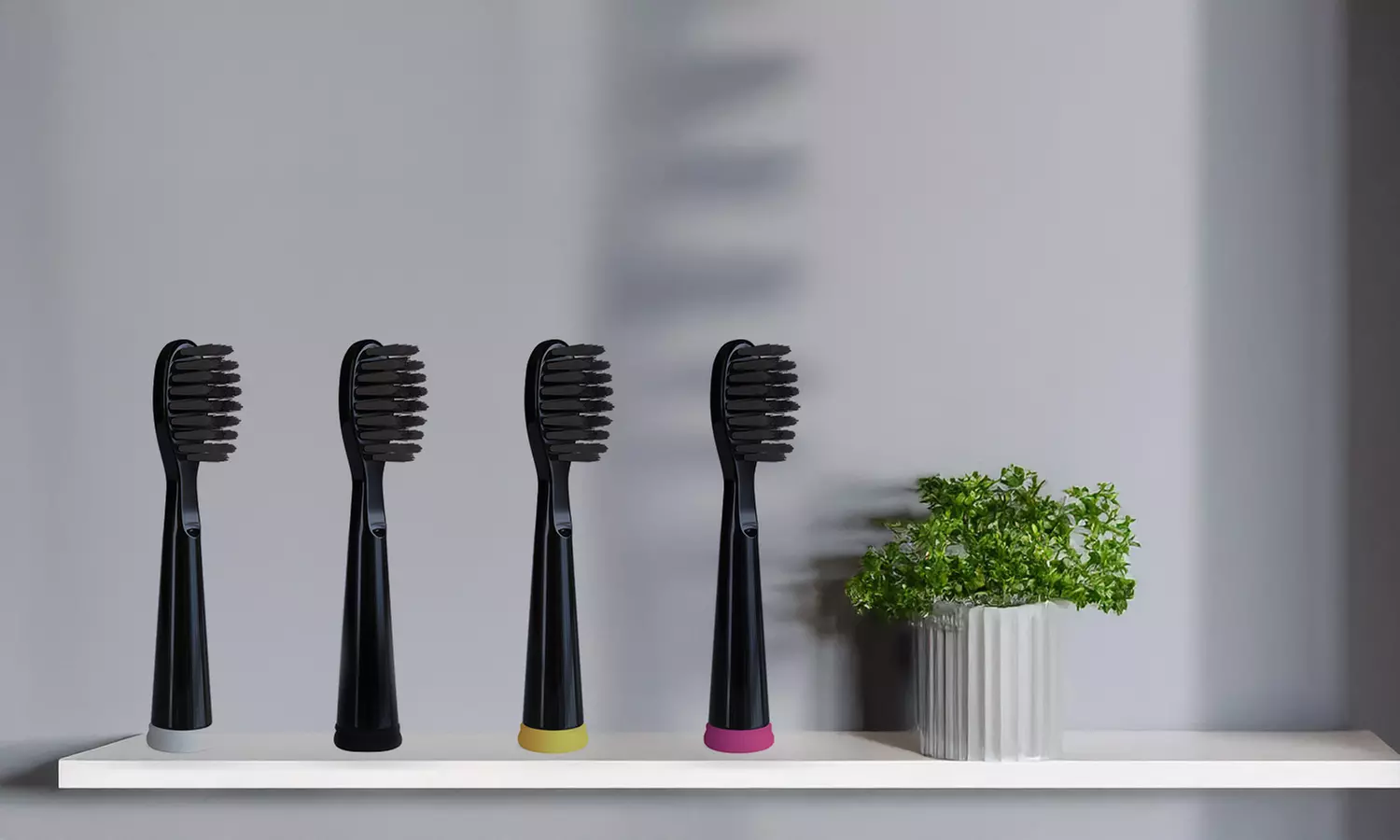Sonic-FX Replacement Brush Heads
