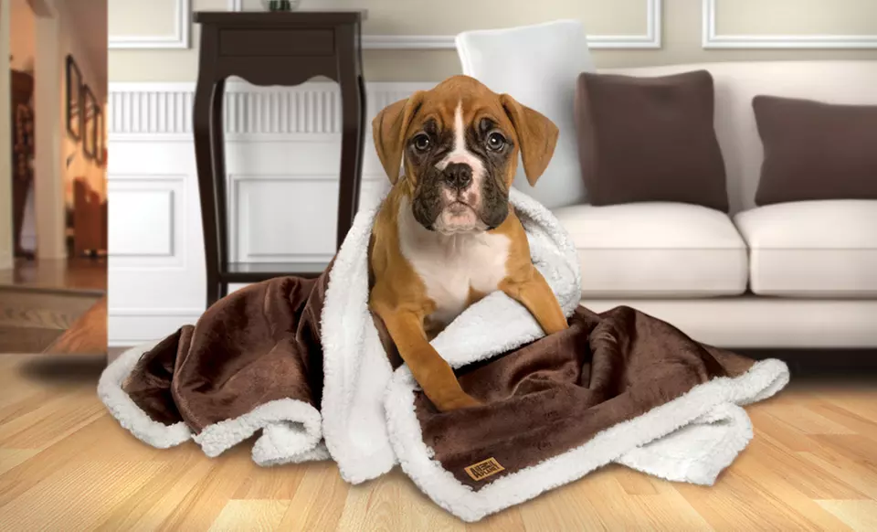 $24 for an Animal Planet Sherpa Pet Blanket ($49.99 List Price). Free Shipping and Free Returns. - Primary Image