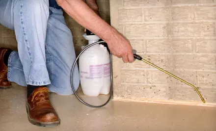 One-Month Mosquito Repellent Treatment for Up to an Acre from Excalibur Extermination ($200 Value) - Primary Image