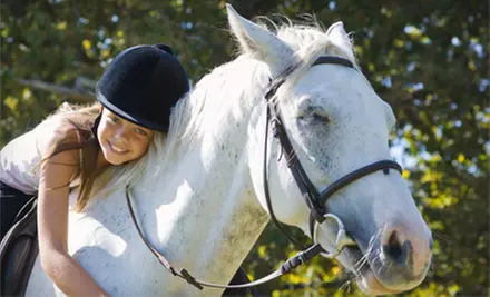$59 for Four One-on-One Horseback-Riding Lessons at Memento Farm ($140 Value) in Hammond Plains - Primary Image