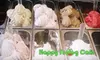 $6 for $12 Worth of Gelato, Coffee, Smoothies, Paninis, and More at Happy Frog Cafe in Irmo