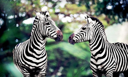 $16 for 60-Minute Safari Trolley Tour for Two at Hidden Valley Animal Adventure in Varysburg (Up to $32 Value) - Primary Image