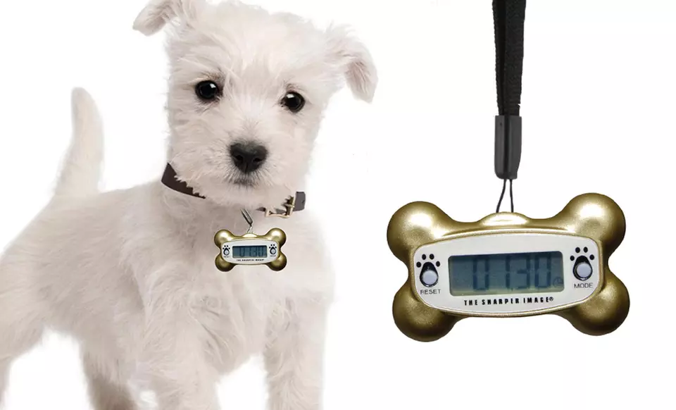 Sharper Image Pet-O-Meter Pedometer. Multiple Colors Available.  - Primary Image