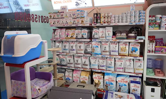 Annual Vaccination or Full Dental Scaling For Cats & Dogs