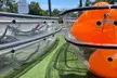 Experience Underwater Miami on a Crystal Clear Kayak or Paddleboard Tour with RC Tours! Save Up To 48% - Second Medium