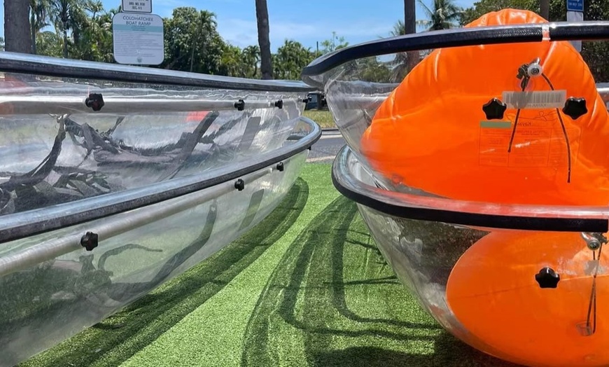 Image 7: 2 Hour Crystal Clear Transparent Kayak or Paddleboard Tour! 