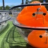 Image 7: 1.5 Hour Transparent Kayak or Paddleboard Tour through Miami!