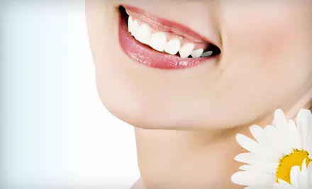Dental Services from Robert A. Dreelin, D.D.S., P.C., in Hampton (Up to 83% Off). Three Options Available. - Primary Image