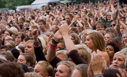 $17 for a One-Day Pass ($35 Value) or $25 for a Three-Day Pass ($50 Value) to Allegreen Music Festival in Union Point - Primary Image