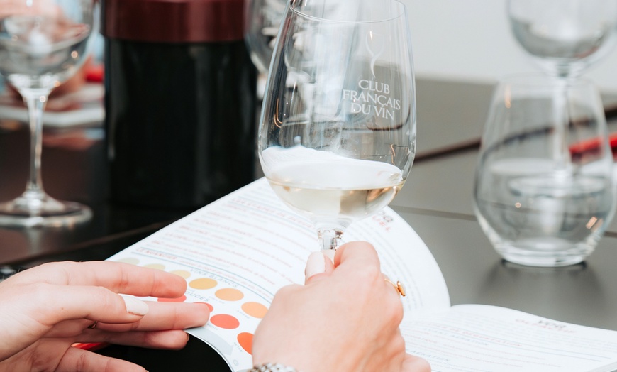 Image 9: A la découverte des secrets du vin : ateliers ou cours d'œnologie