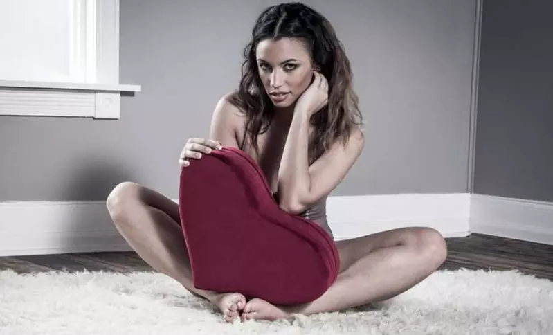 Liberator Heart-shaped Wedge Positioning Pillow - Primary Image