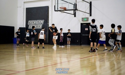 June 2 - August 1: Anaheim Youth Summer Basketball League for One - Open Gym Premier in Anaheim & Garden Grove, CA