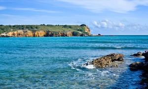 Beachfront Puerto Rico Resort