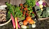 $56 for a Four-Week Trial Subscription for Fresh Produce from Canvas Ranch ($112 Value)
