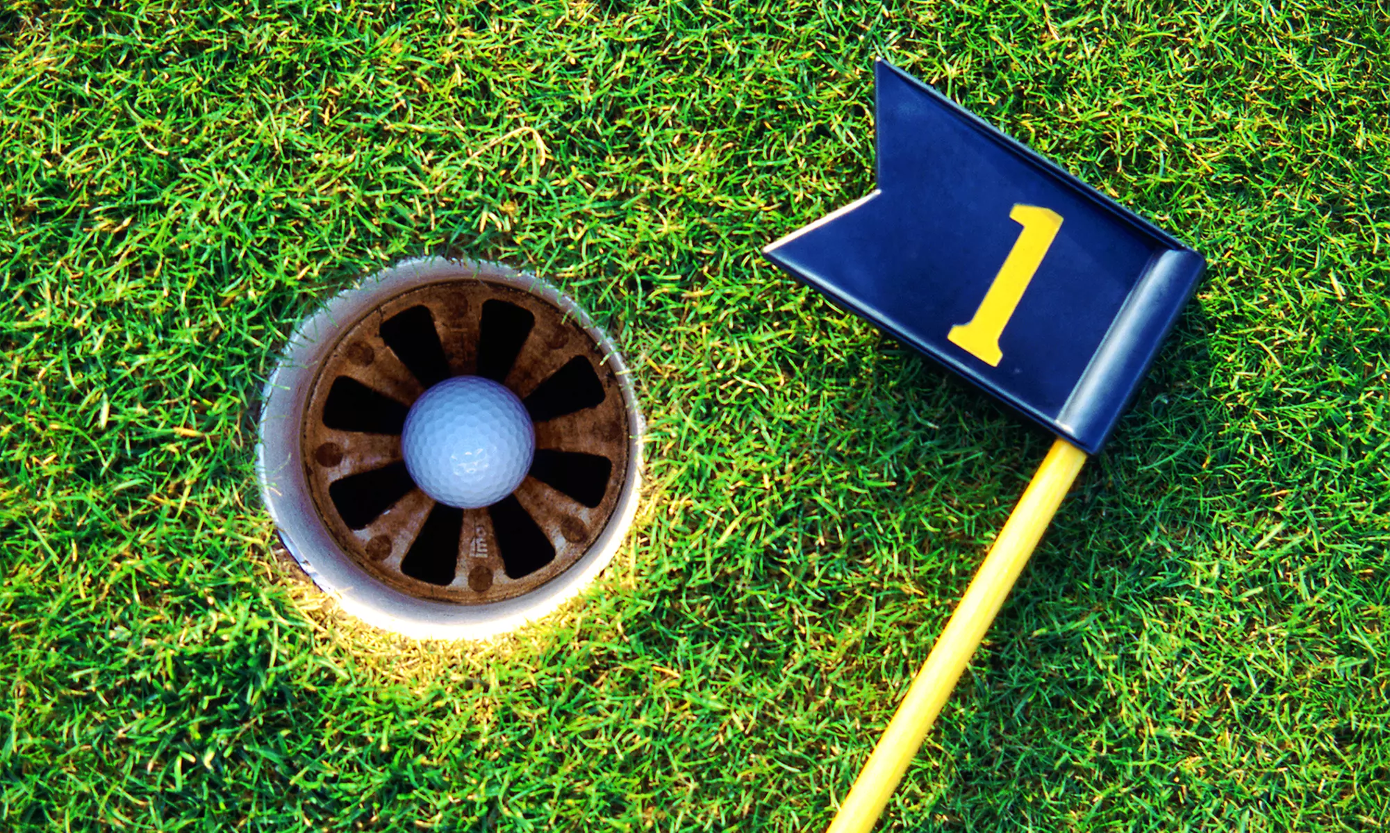 $10 for $20 Worth of Mini Golf at Rainforest Black Light Mini Golf - Primary Image
