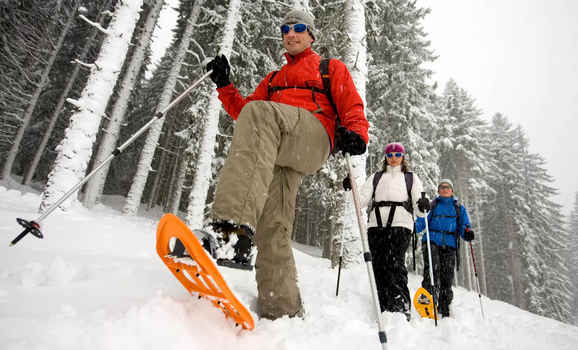 Snowshoeing or Intro to Ice Climbing for One or Two from Northeast Mountain Guiding (Up to 78% Off) - Primary Image